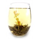 Peri Flower blooming tea - Flowering Tea