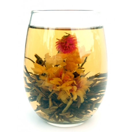 Endless Summer blooming tea - Flowering Tea