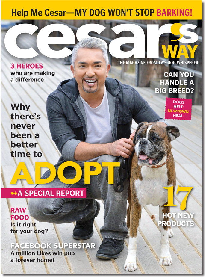 Cesar Milan - Tea for Dogs