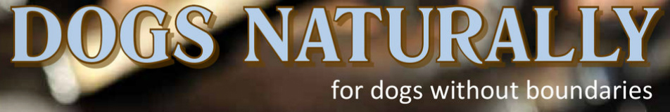 Dogs Naturally Magazine - Tea for Dogs