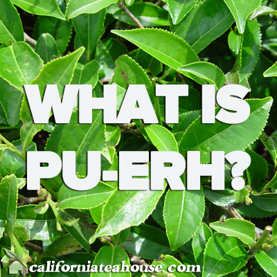 What Is Pu Erh