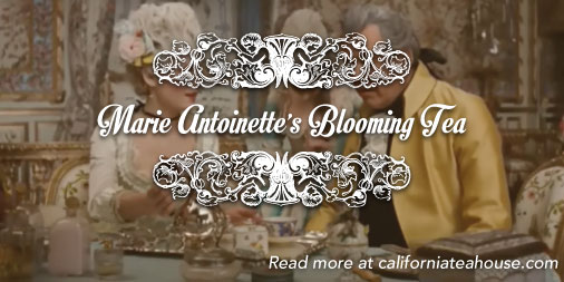 california-tea-housemarie-antoinettes-blooming-tea