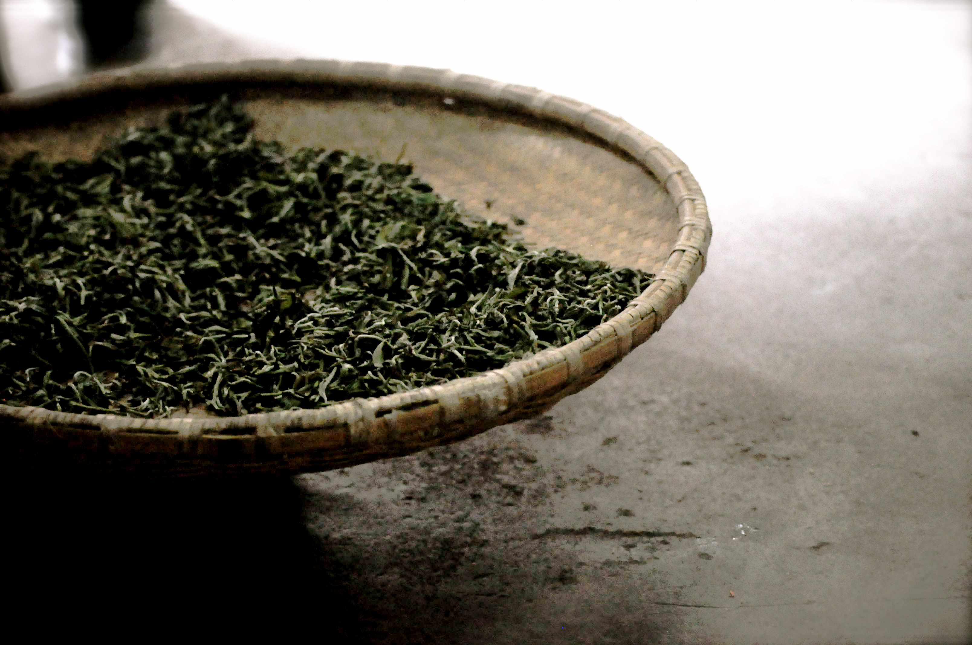 pan fried yellow mountain green tea