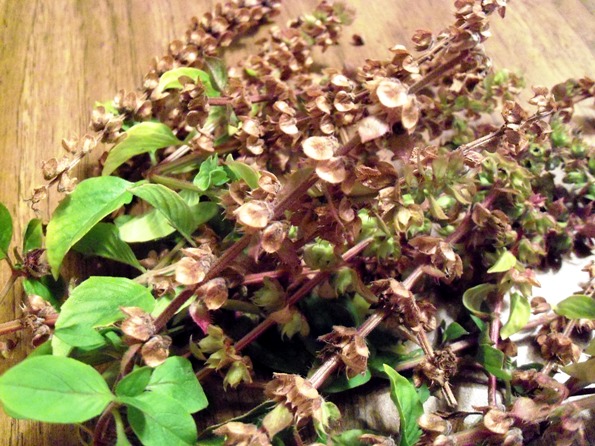 cinnamon basil in tea