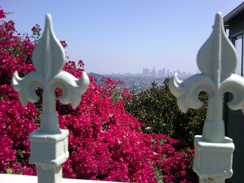 Glendower Stair Climb View