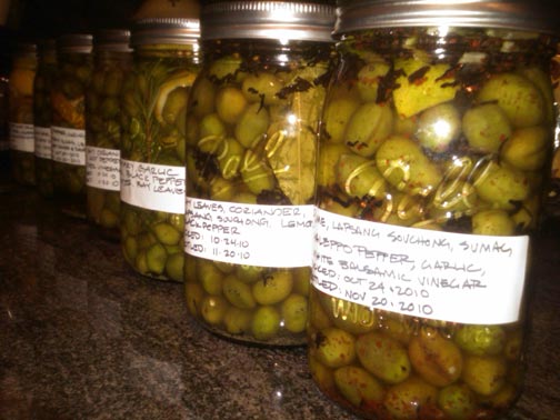 green olives curing