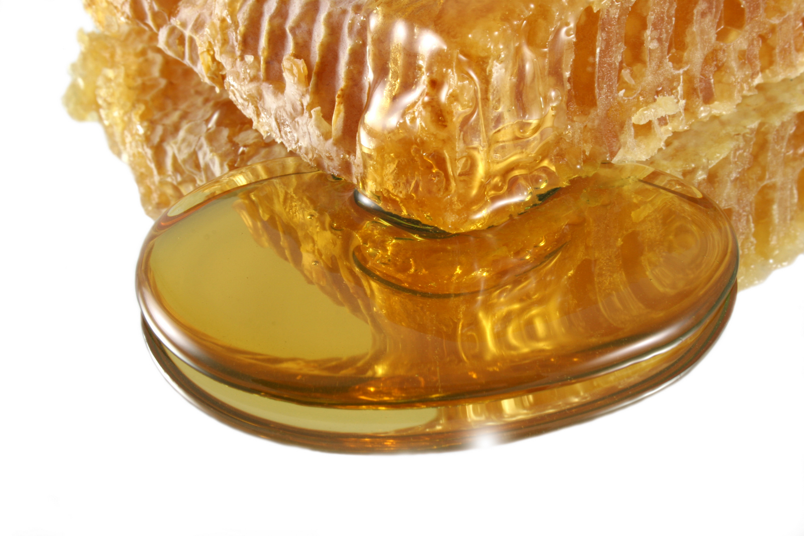 Bee’s Tea – Honey Tea Recipe