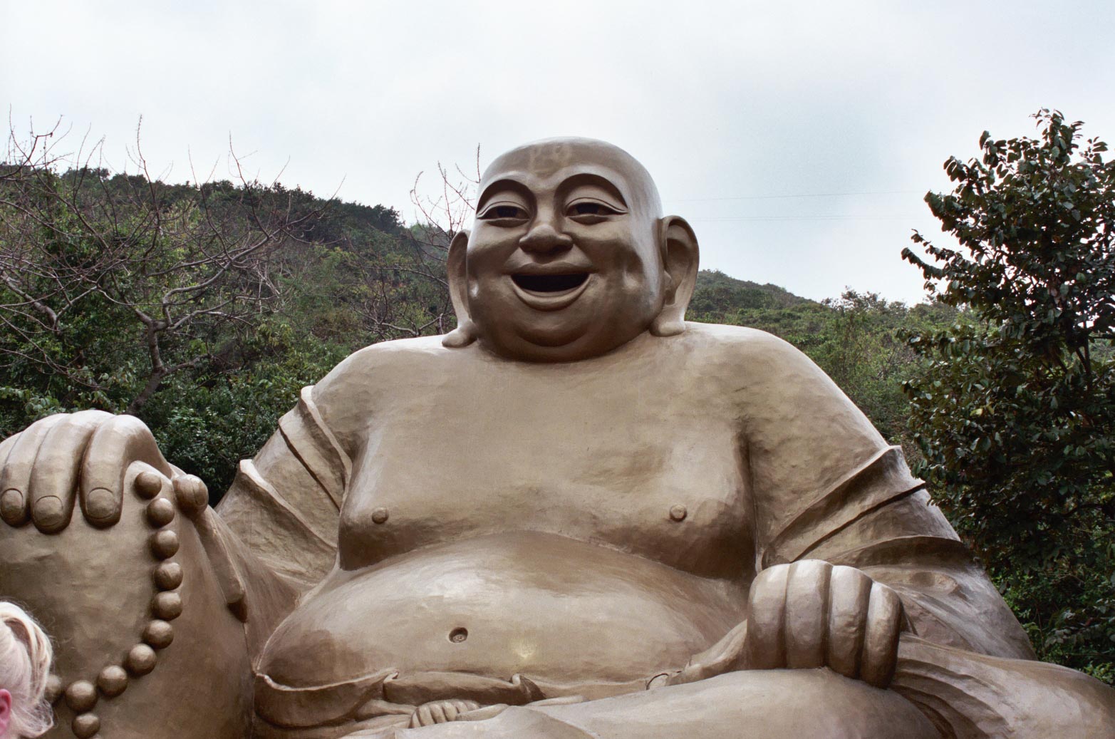 Traditional Chinese Medicine